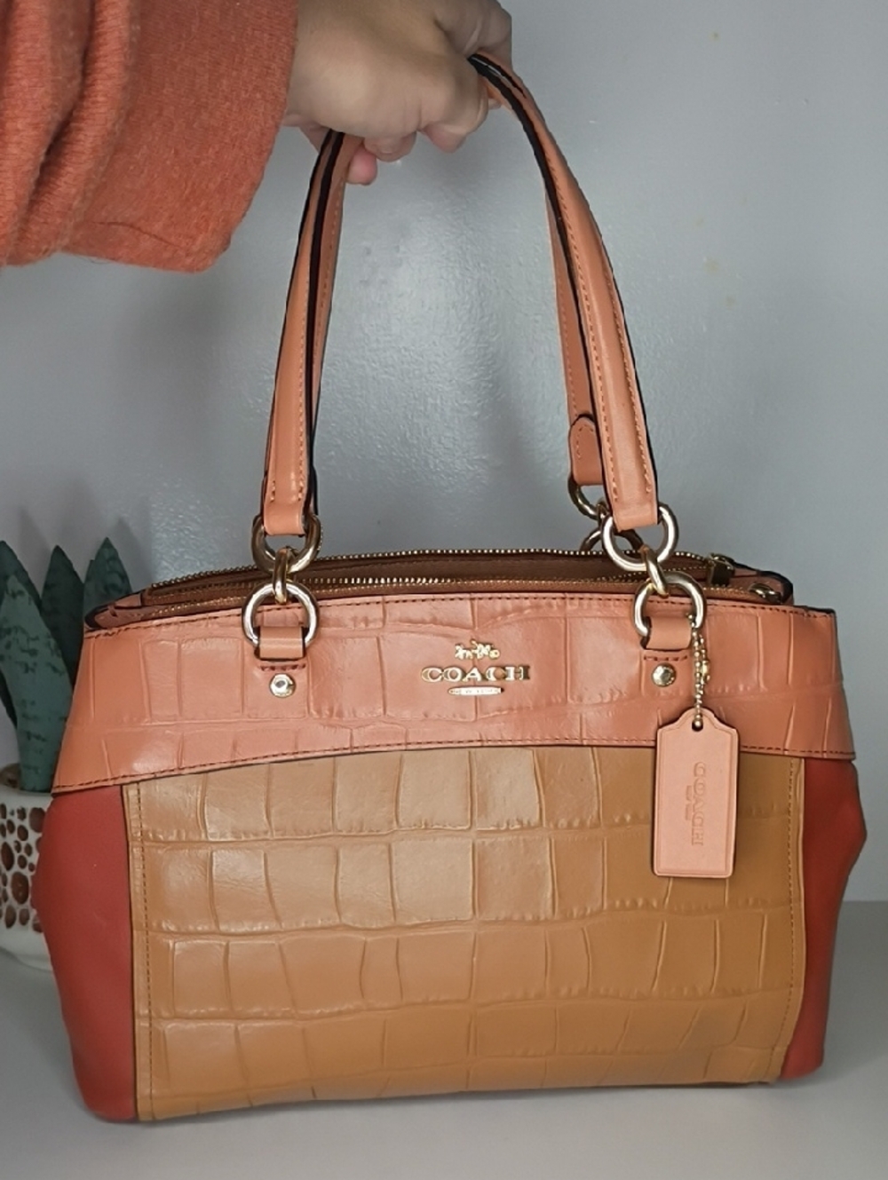 Coach Multicolor Croc Embossed Leather Mini Brooke Carryall handbag - Picture 14 of 14